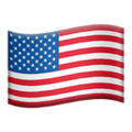 small american flag